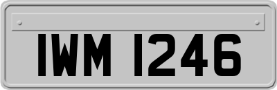 IWM1246