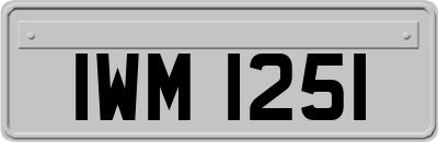 IWM1251