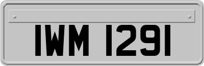 IWM1291