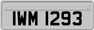 IWM1293