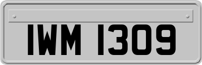 IWM1309