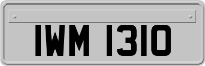 IWM1310