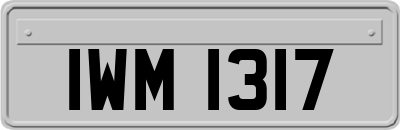 IWM1317