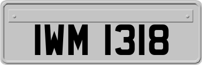 IWM1318