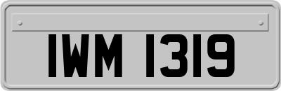 IWM1319