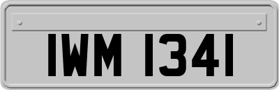 IWM1341