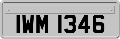 IWM1346