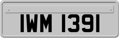 IWM1391