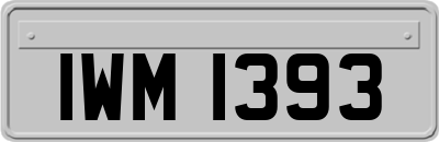 IWM1393