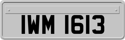 IWM1613