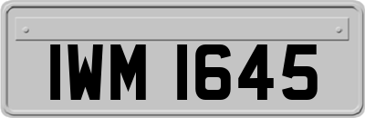 IWM1645