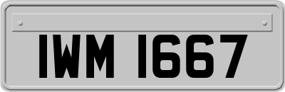 IWM1667