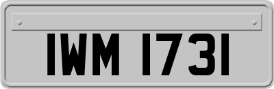 IWM1731