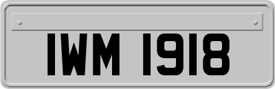 IWM1918