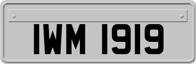 IWM1919