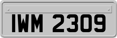 IWM2309