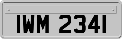 IWM2341