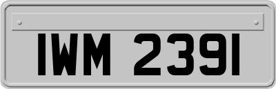 IWM2391