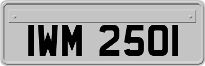 IWM2501
