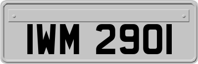 IWM2901