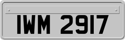 IWM2917