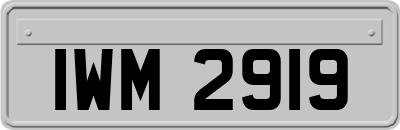 IWM2919