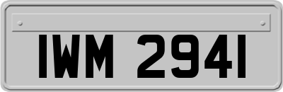 IWM2941