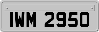 IWM2950