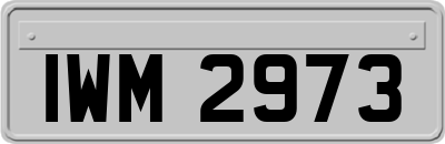 IWM2973