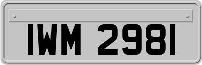 IWM2981