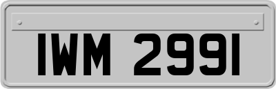 IWM2991