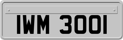 IWM3001