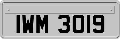 IWM3019