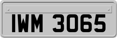 IWM3065