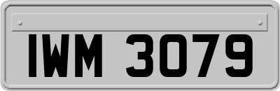 IWM3079