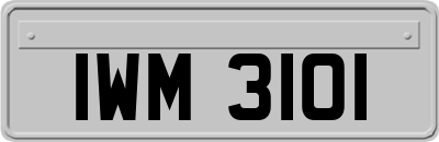 IWM3101