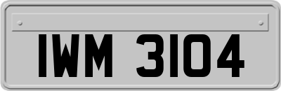 IWM3104