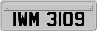 IWM3109