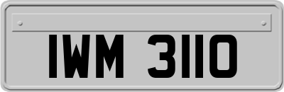 IWM3110