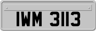 IWM3113