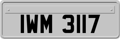 IWM3117