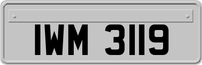 IWM3119