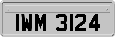 IWM3124