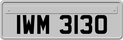 IWM3130