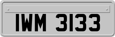 IWM3133