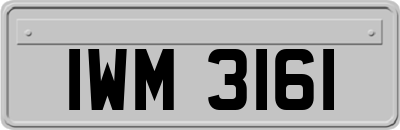 IWM3161