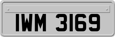 IWM3169