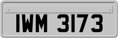 IWM3173