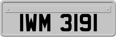 IWM3191