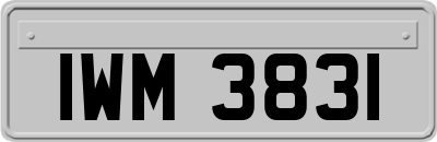 IWM3831